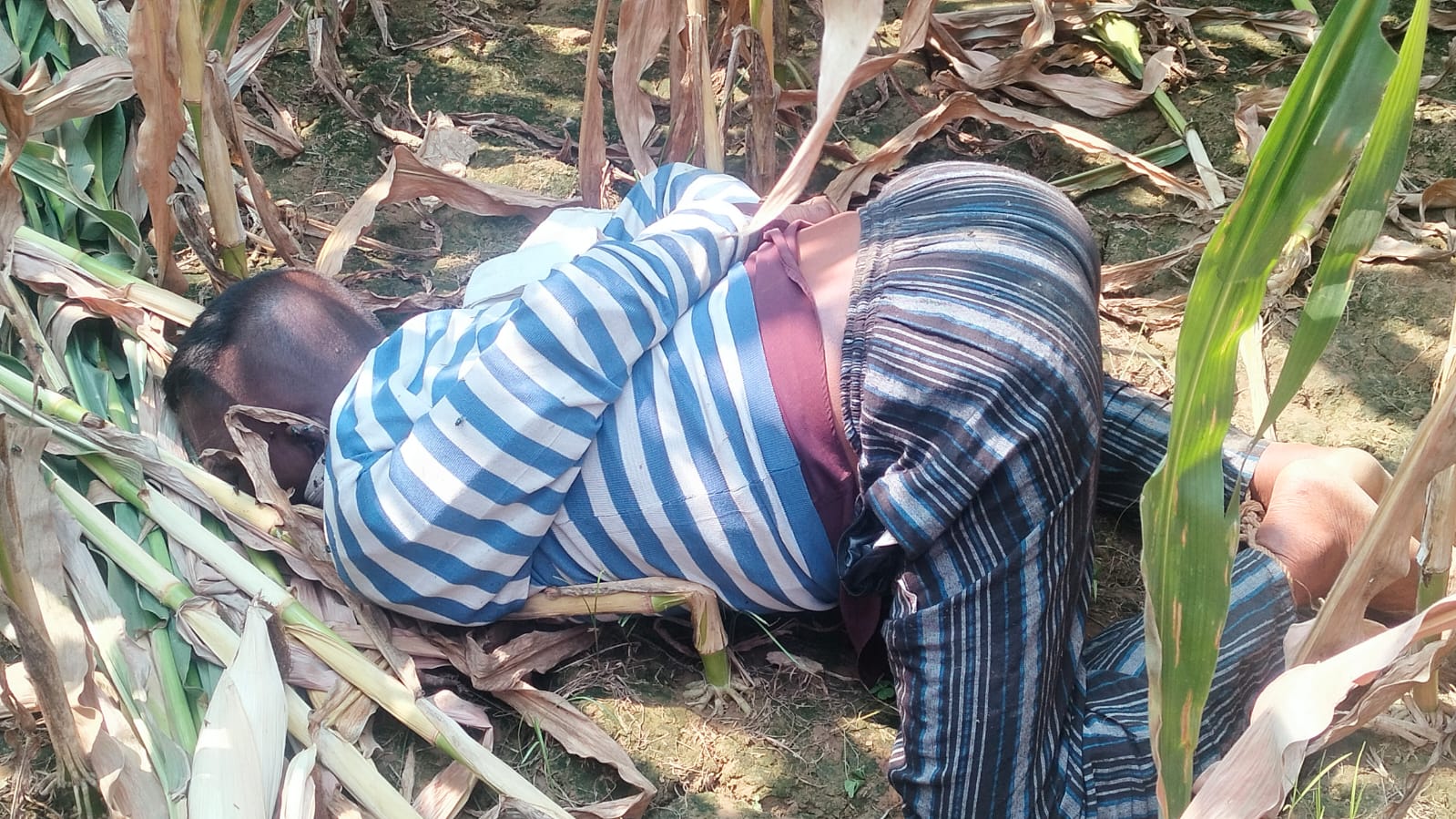 চুয়াডাঙ্গার ইব্রাহীমপুর গ্রামের একটি ভুট্টাক্ষেত থেকে ইজিবাইক চালকের মরদেহ উদ্ধার