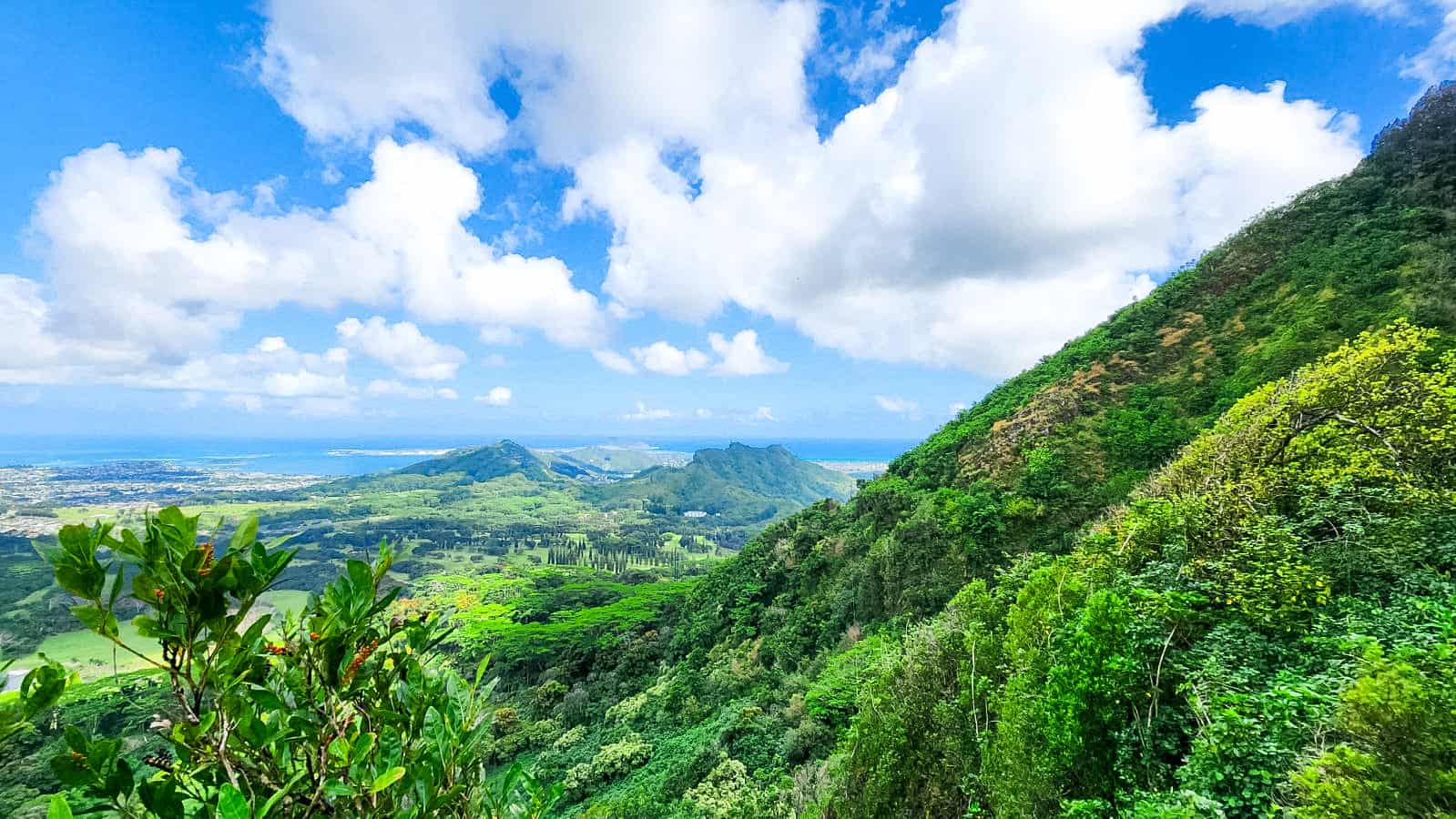 Nu uanu Pali Lookout overlooking the westward side of Oahu, Hawaii. | The Spine Tingling Pali Lookout Legend