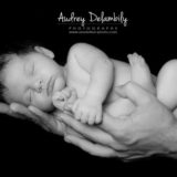 photographe-bebe-var-toulon-paca-audrey-delambily-1
