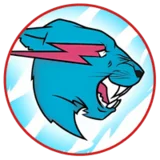 MrBeast webP MrBeast translate video