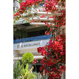 Ela Excellence Resort Belek ailece yaz tatili
