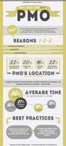 Project Management Office (Project Team) Infographic Project Management Office (Project Team) Infographic