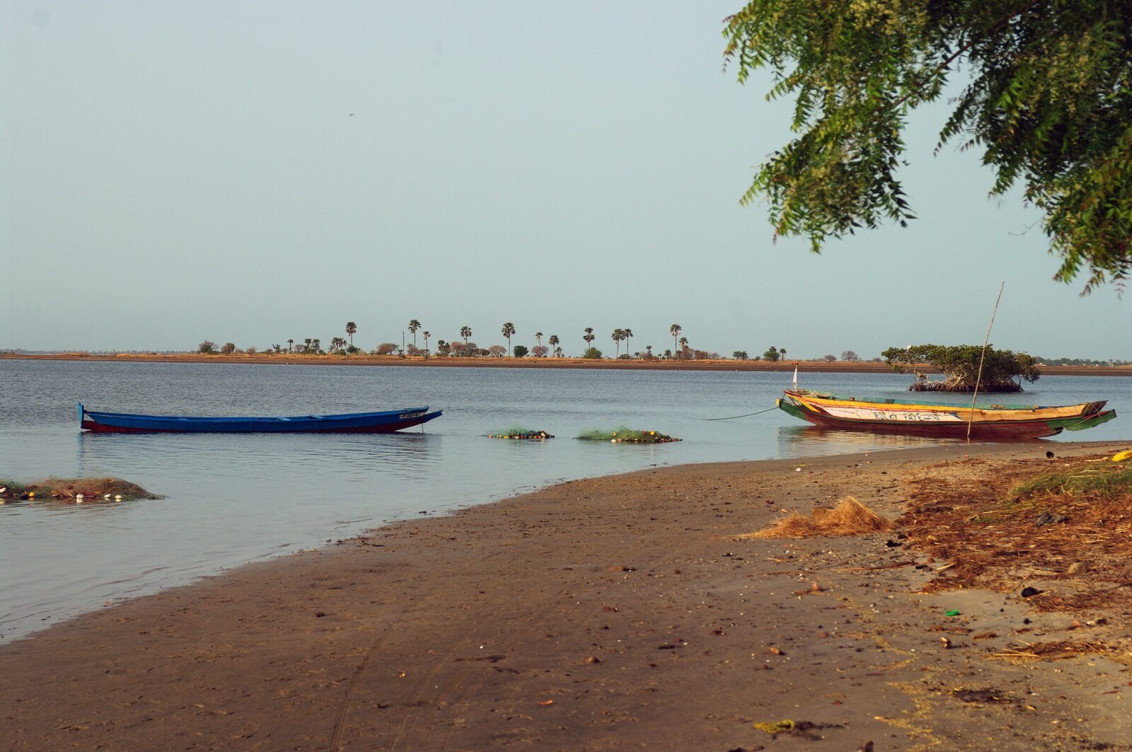 Piroguesaises sine saloum, Sénégal