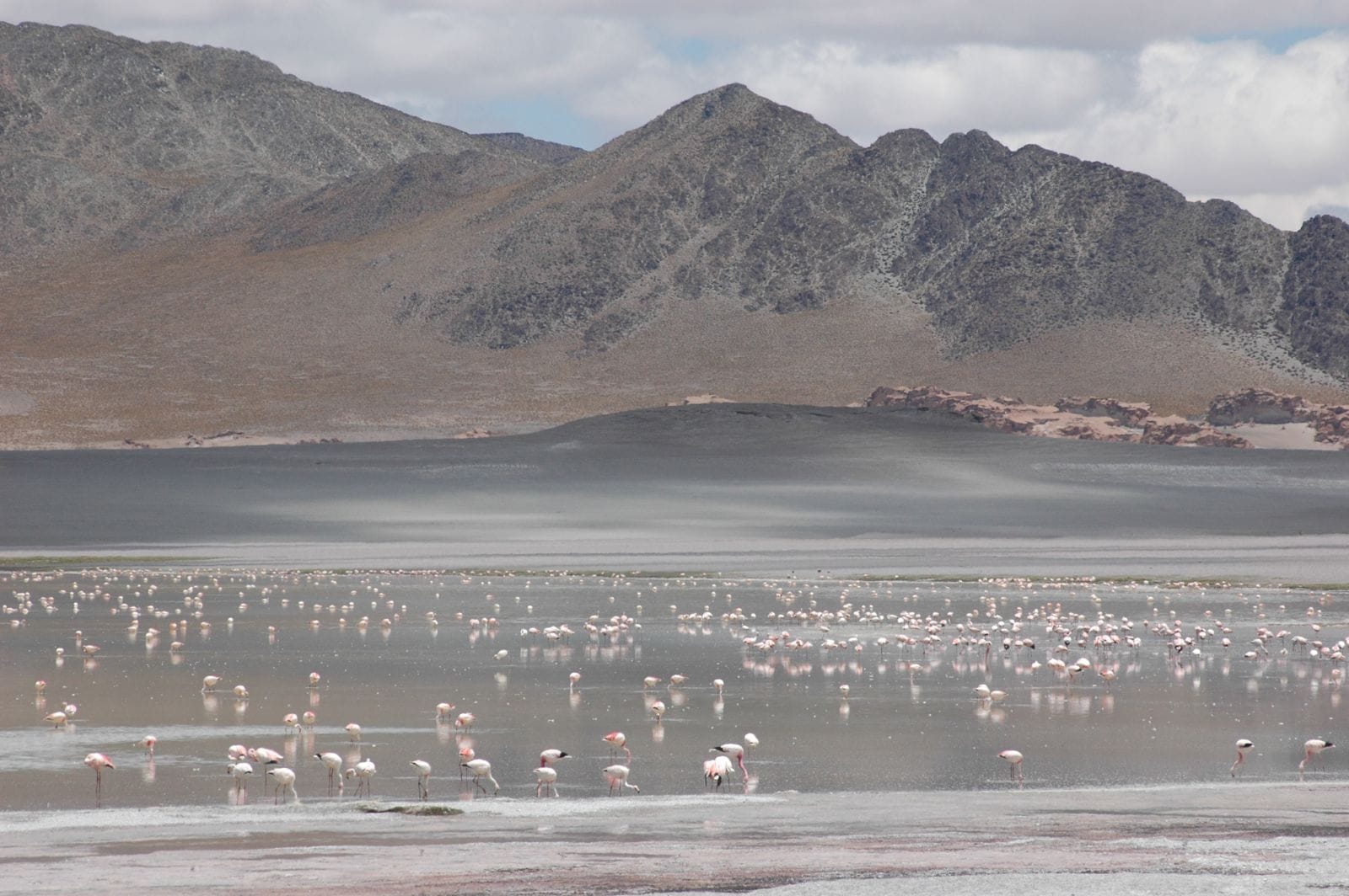 Laguna Blanca