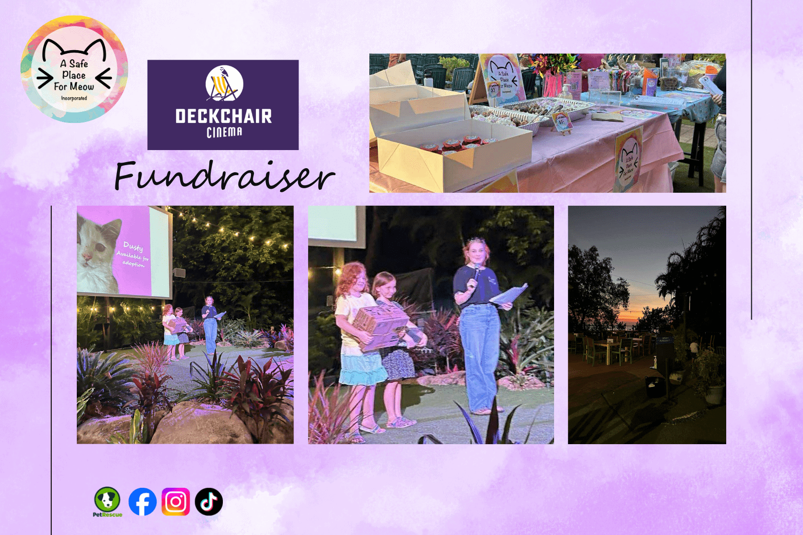 Fundraiser night at Deckchair Cinema supporting A Safe Place for Meow cat rescue, Darwin August 2025