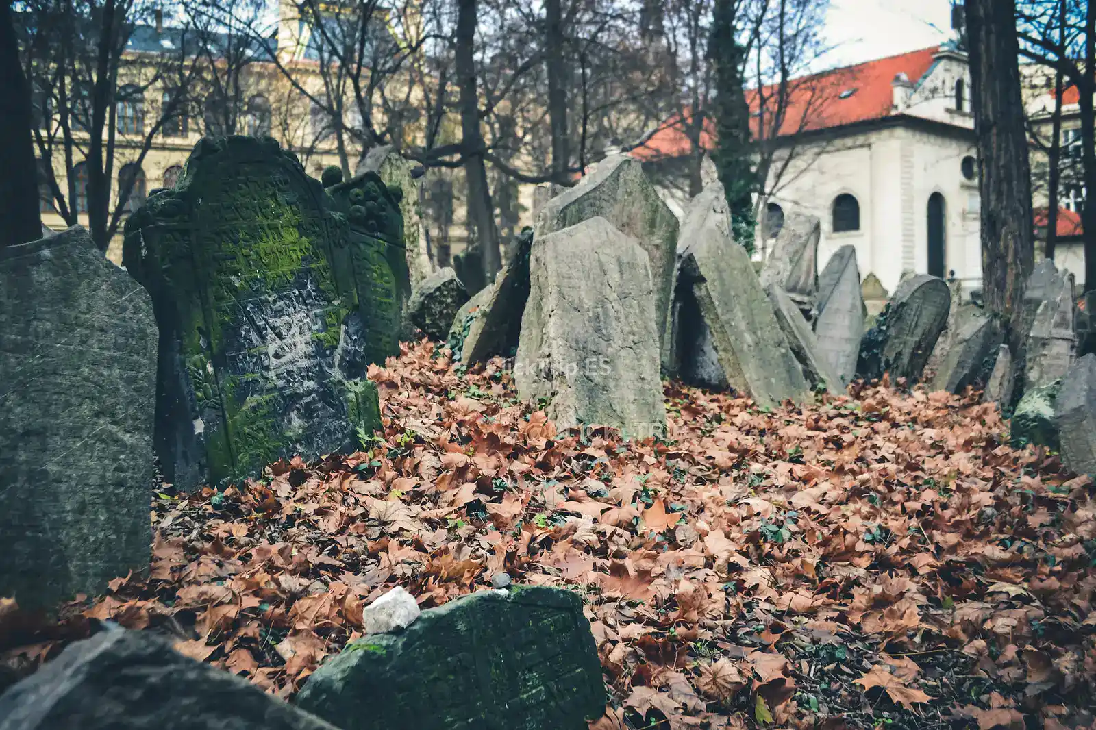 Praga en Navidad_Que ver y hacer_Mercadillos Navideños_Barrio Judio_ClickTrip