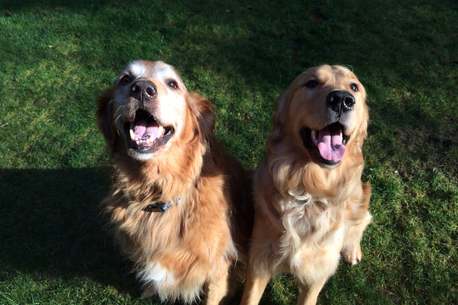 My name is Hubba & Barley | On vacation with Barley