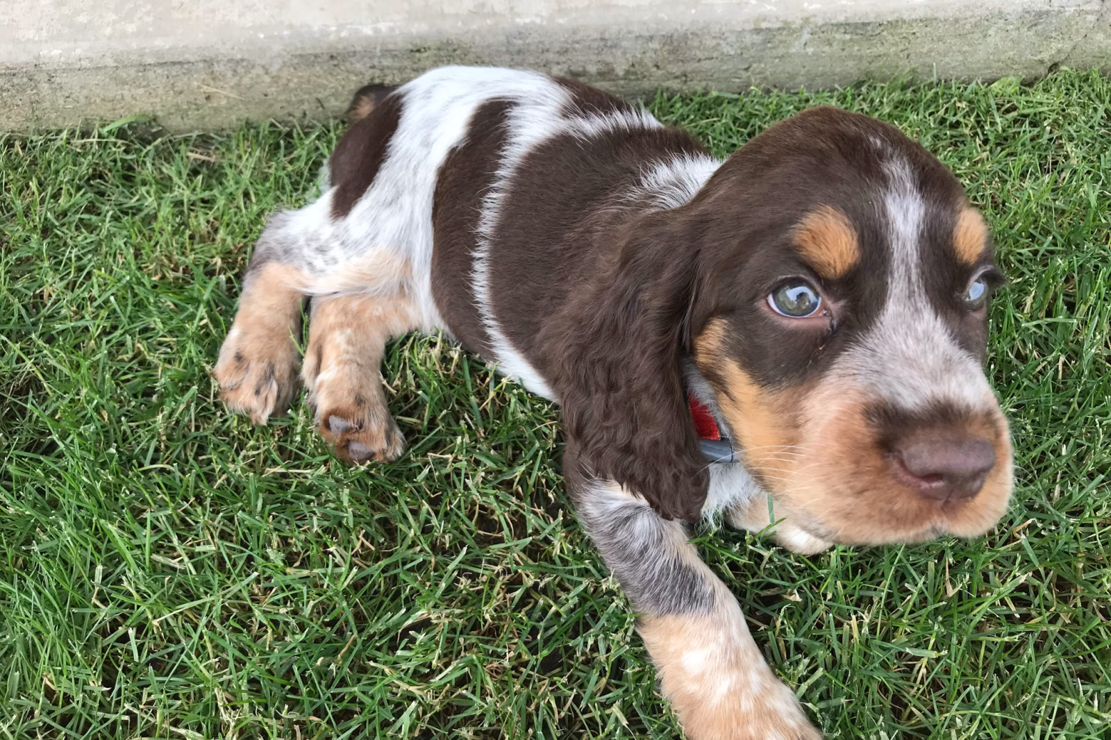 My name is Clancy | On vacation with Linda