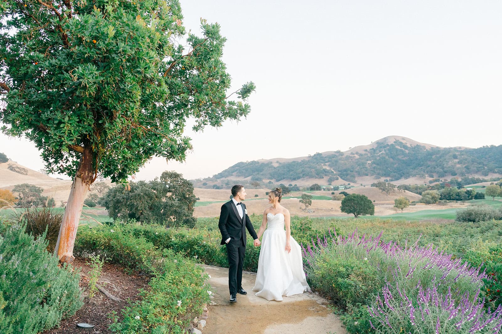 Andrea Gallucci - Destination Wedding Photographer- Amalfi Coast Positano Santorini Barcellona Rome Ravello Paris New York luxury wedding venue at a California winery
