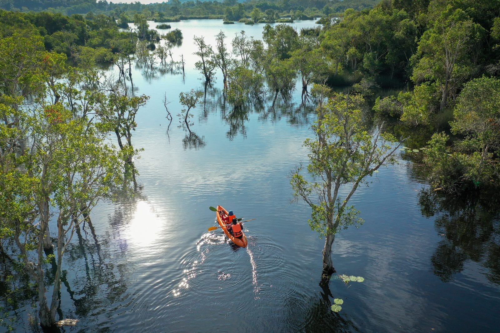 Descente en canoë-kayak sur une rivière bordée de mangrove au Sénégal