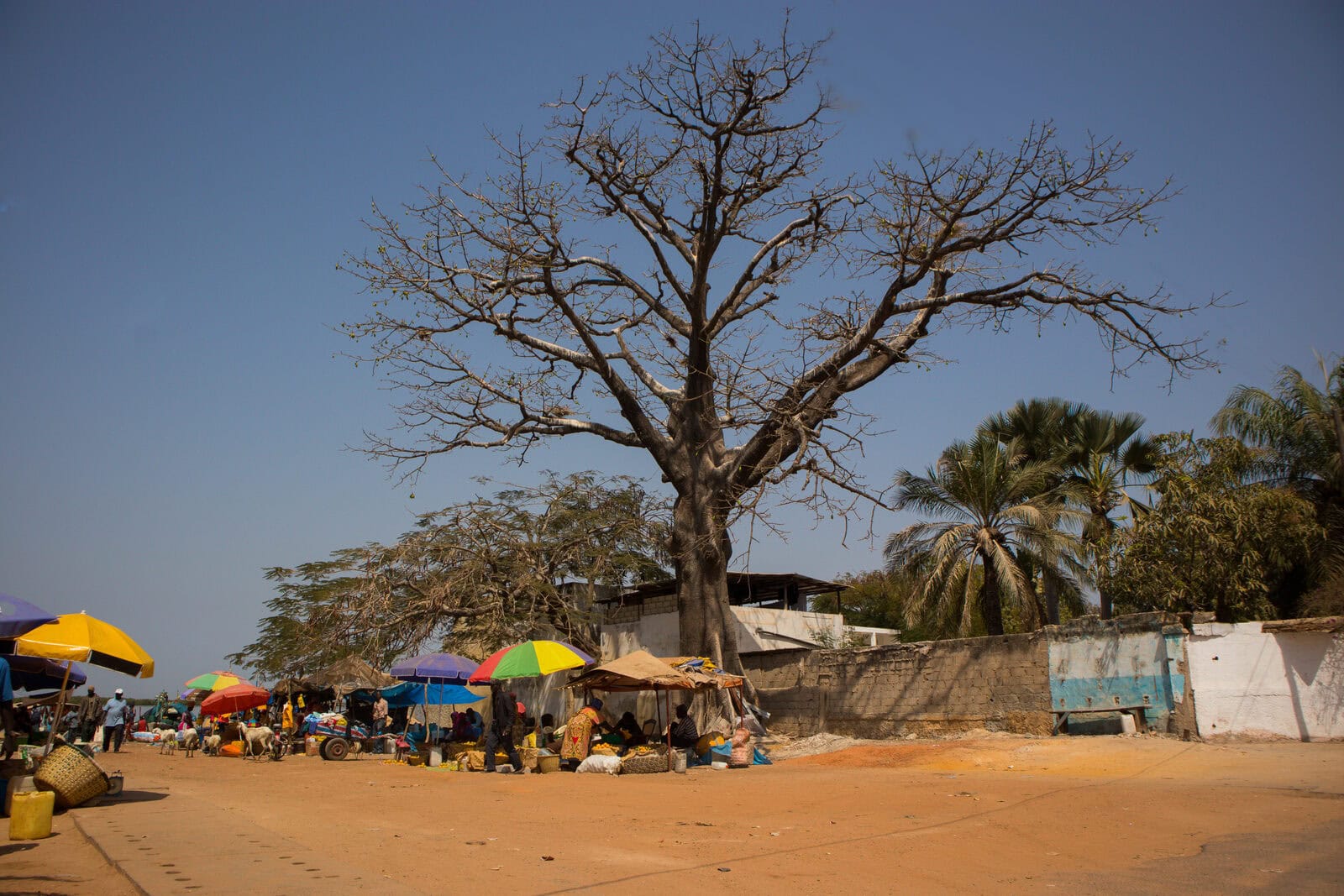 Marché de Ziguinchor en Casamance