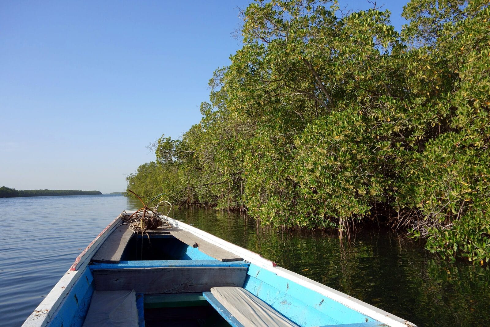 Pirogue traditionnelle delta sine saloum, Sénégal