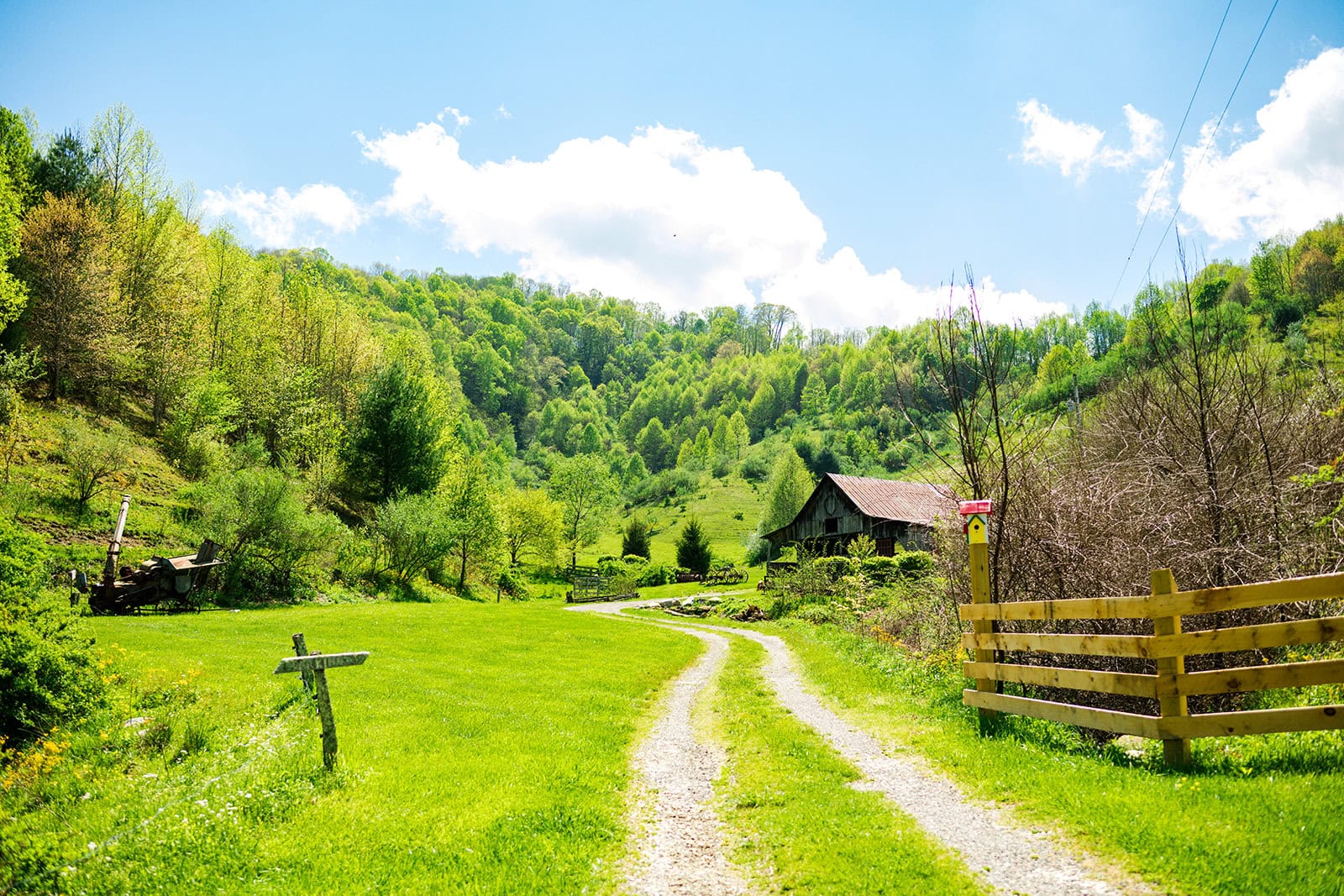 You are currently viewing Last Minute Summer Travel: Go Ahead and Give Trade, TN a Try!