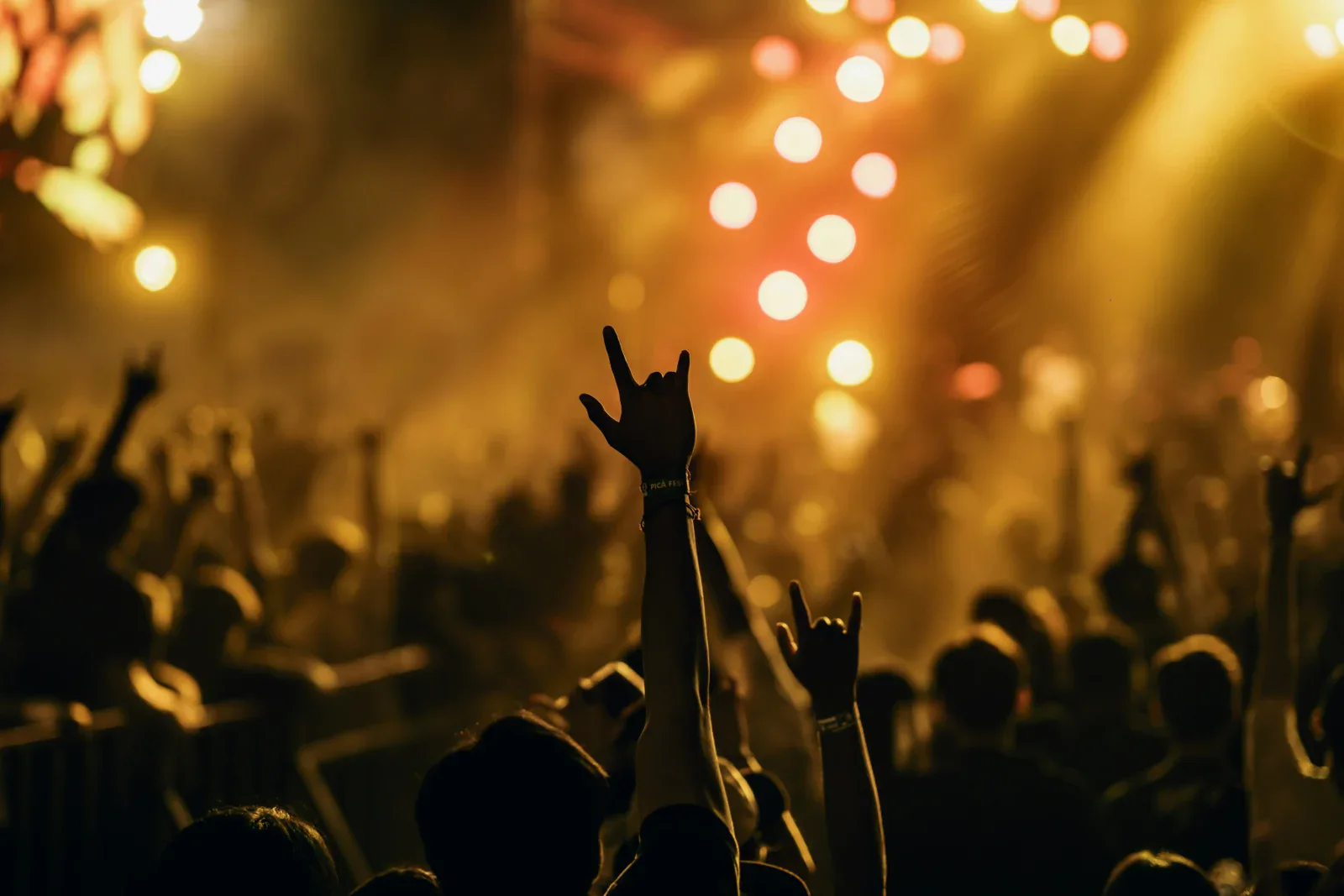 Esperienze da regalare: biglietti per un concerto live
