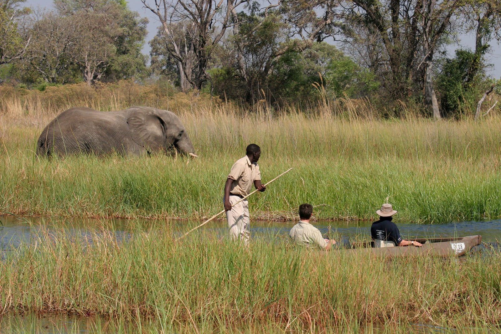 moremi crossing botswana camp images 2