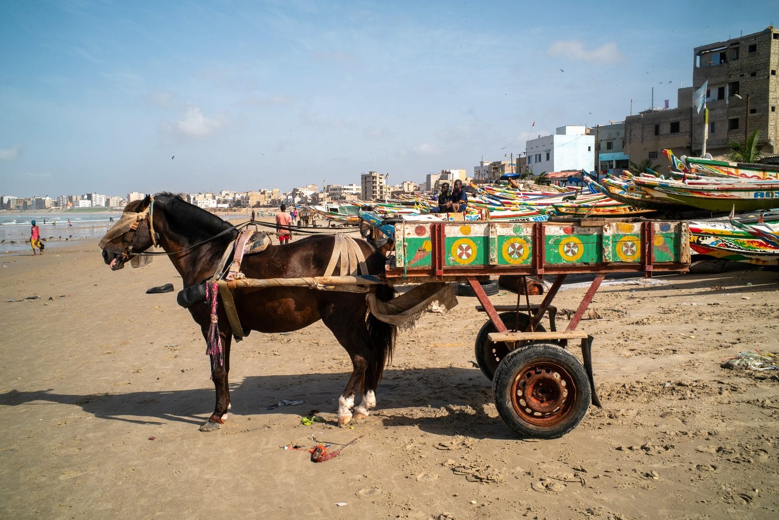 Charrette tirée par un cheval au bord de mer au Sénégal