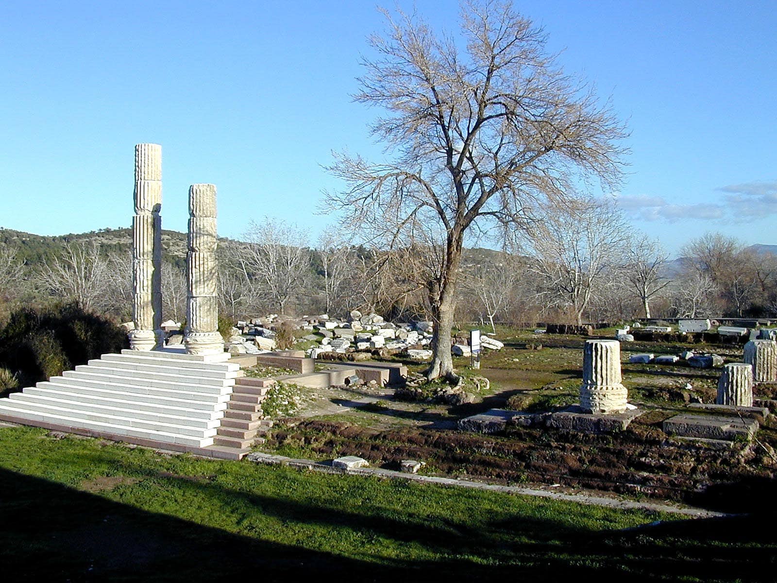 Remains of the Apollo Smintheum Temple