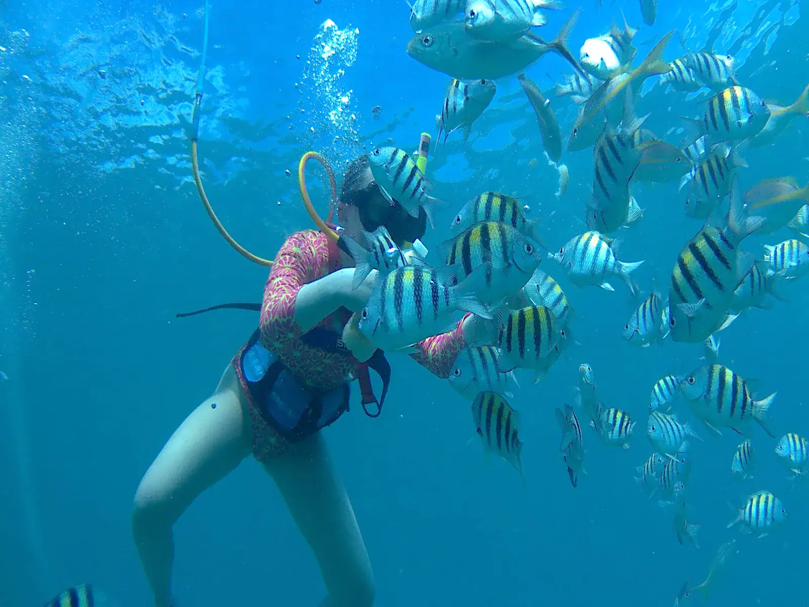 SNUBA participant surrounded by colorful tropical fish in clear blue Sint Maarten water
