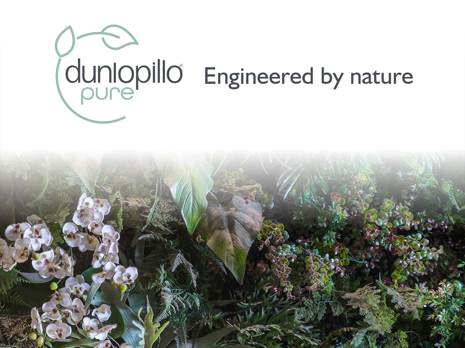 Dunlopillo Meya Pure 3