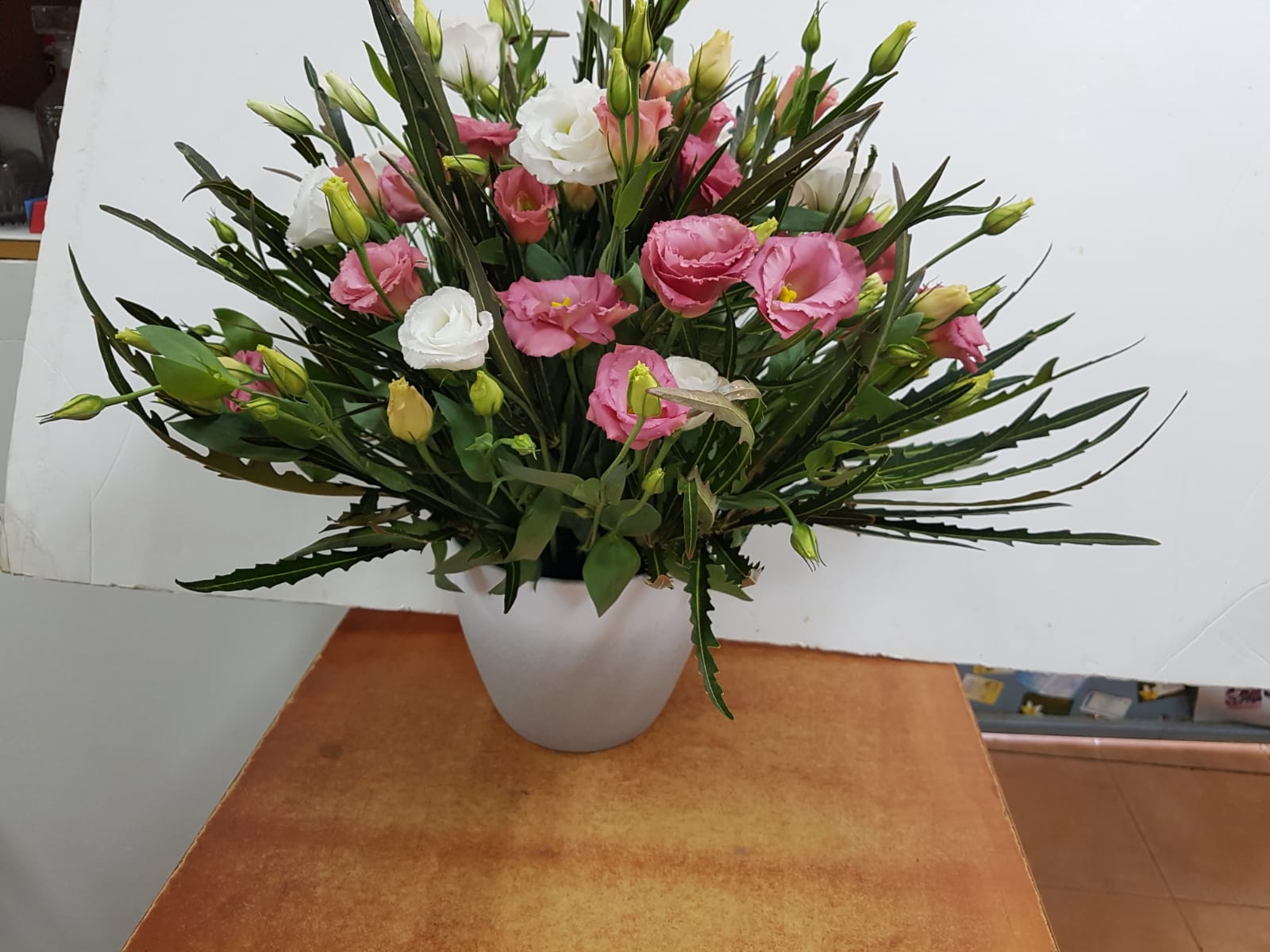 התחדשות - פרח בר