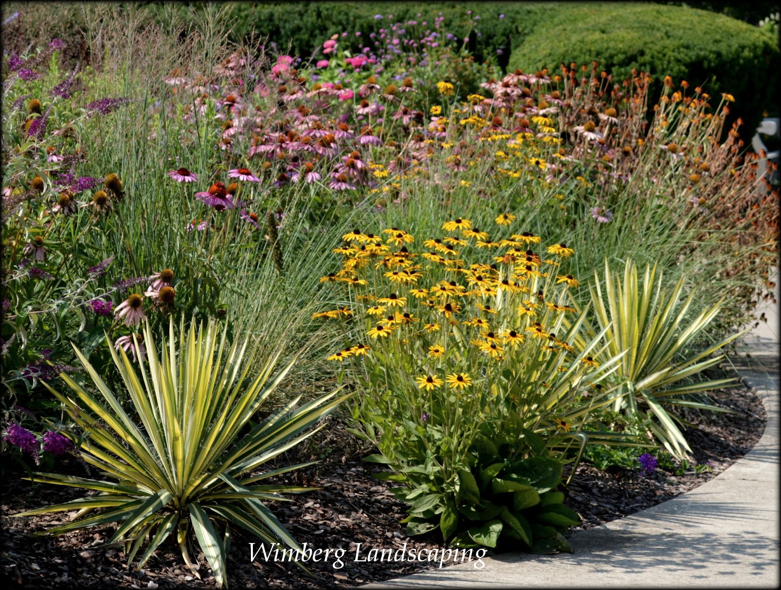 Read more about the article FIVE RULES FOR MULCH