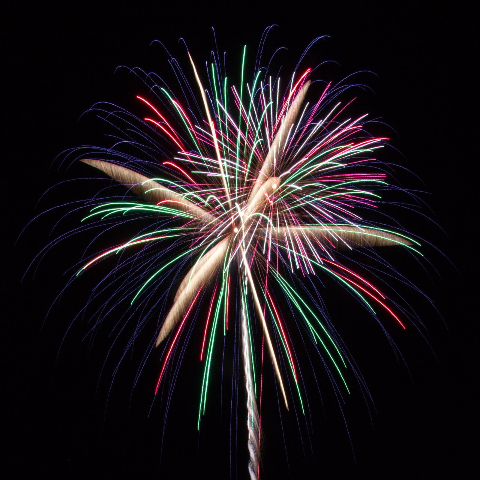 Massachusetts Fireworks: Multicolored shell