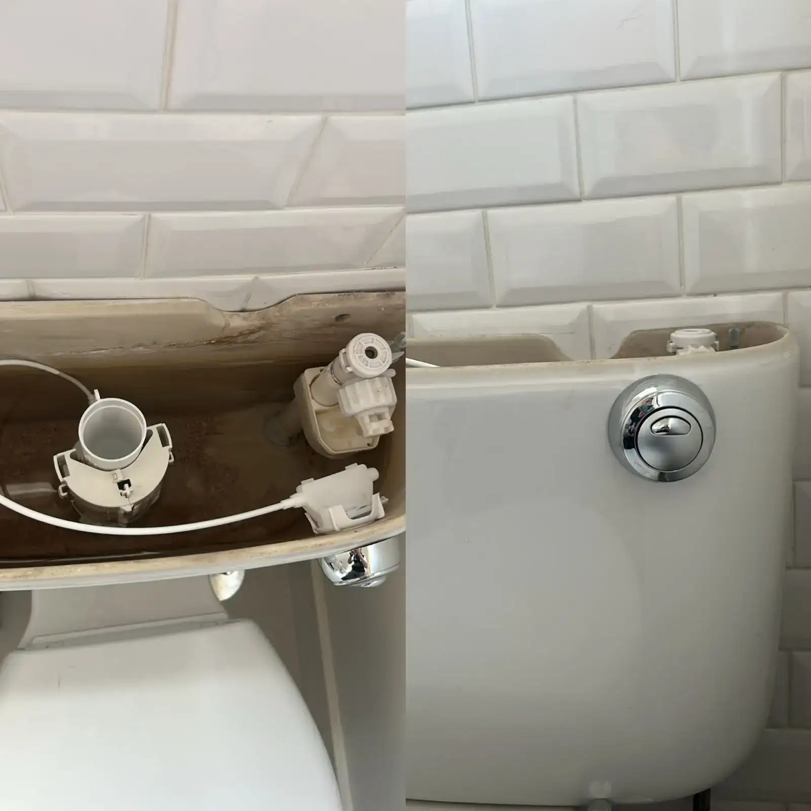 Flush Valve Repair Hamilton