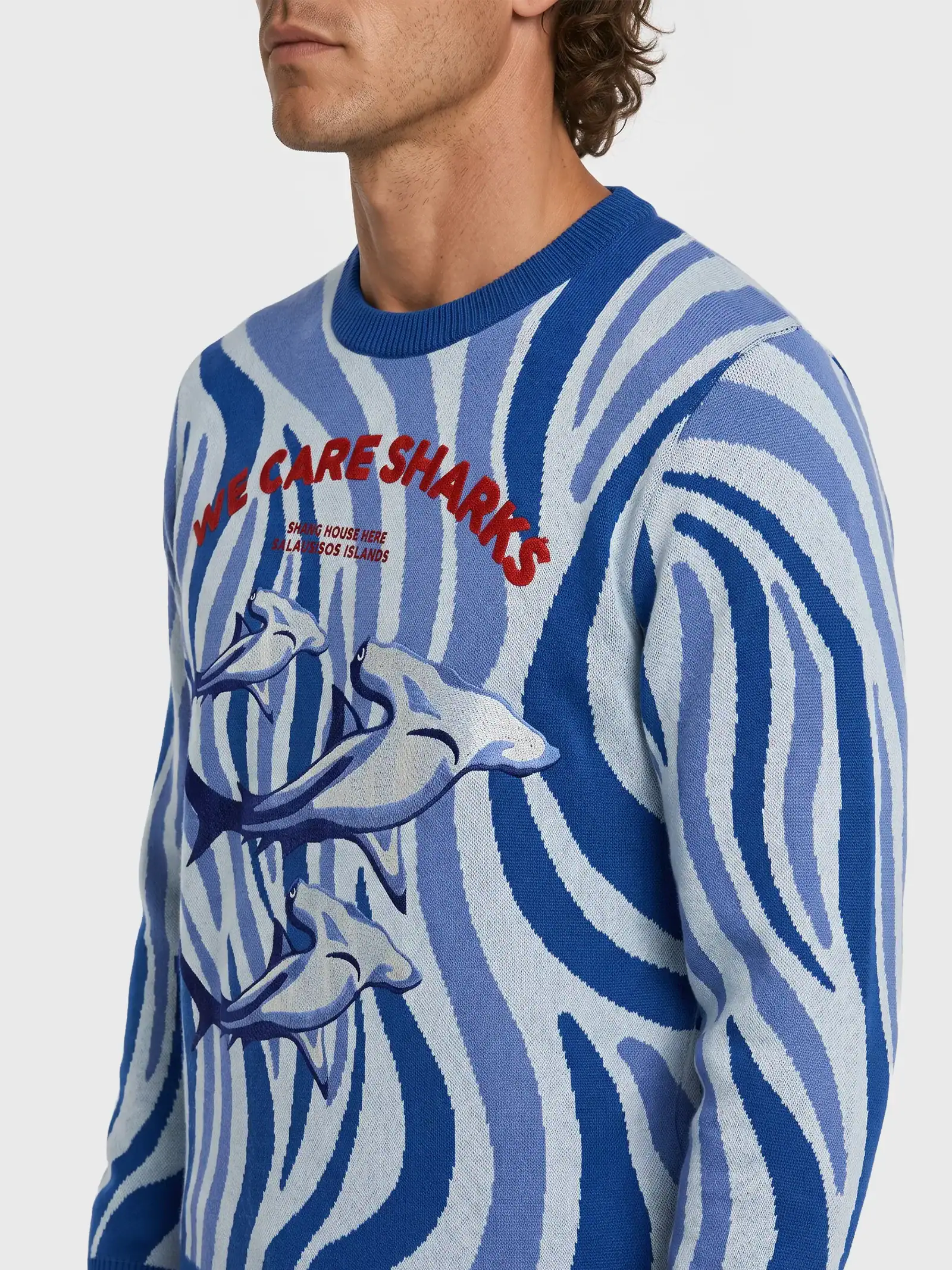 Sweater Hamer Head Shark Darwin And Wolf