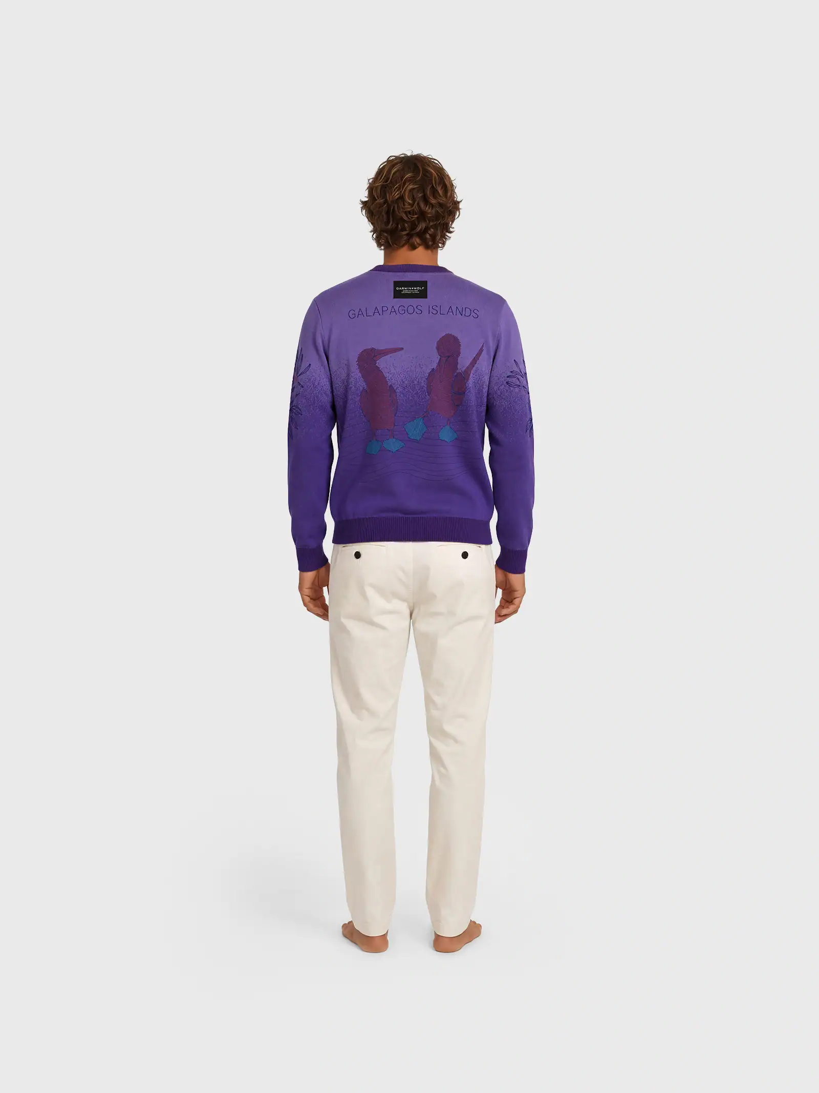 Sweater Piqueros Morados_02N