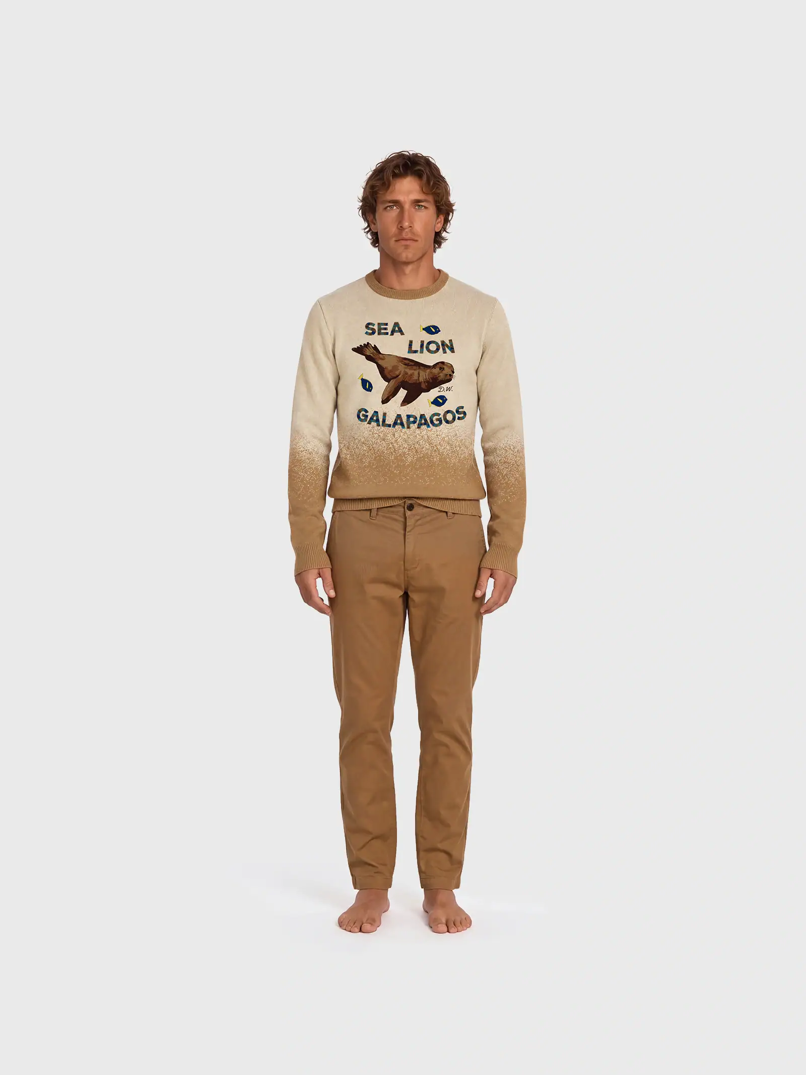 Sweater Sea Lion Galapos Darwin and wolf