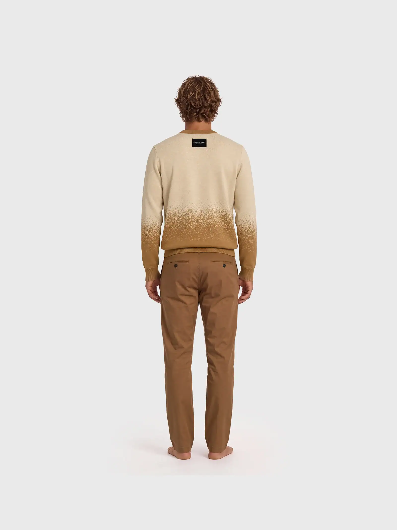 Sweater Sea Lion Galapos Darwin and wolf