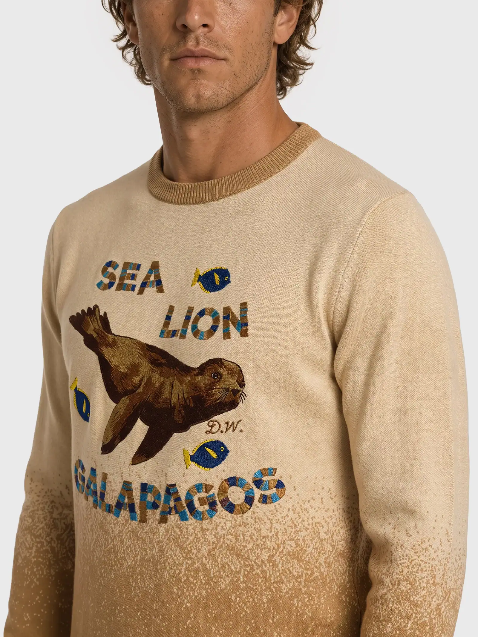 Sweater Sea Lion Galapos Darwin and wolf