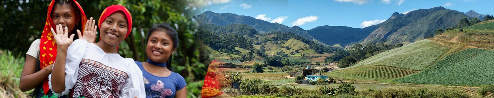 1-indiglobal-plantacion17
