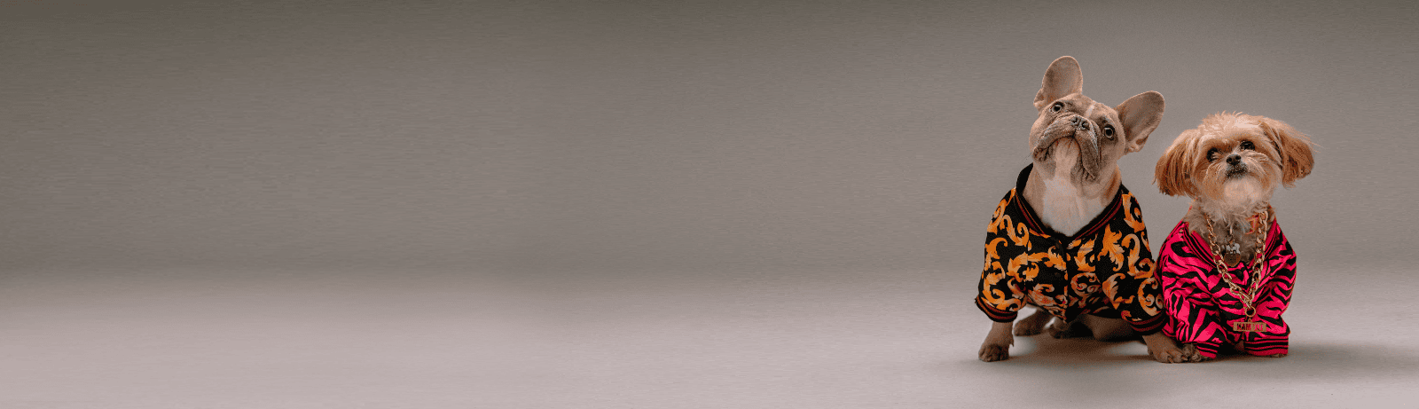 mascotas banner Altino promoción