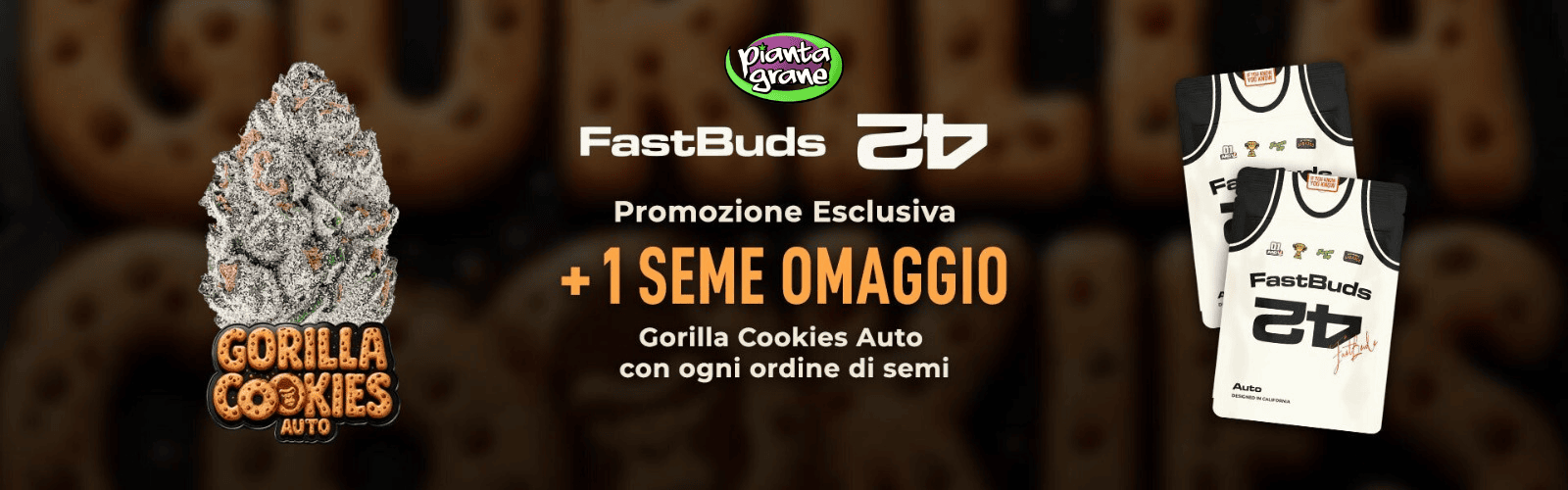 Fast Buds - +1 seme omaggio Gorilla Cookies Auto con ogni ordine di semi