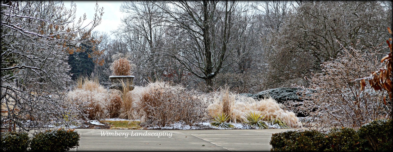 Read more about the article GRASSES IN THE WINTER GARDEN