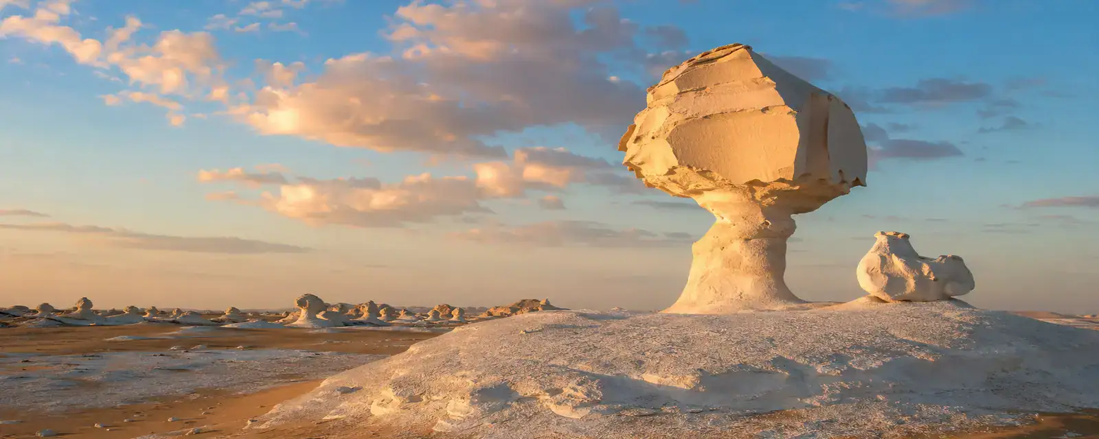 White Desert Egypt mushroom rock formations at golden hour