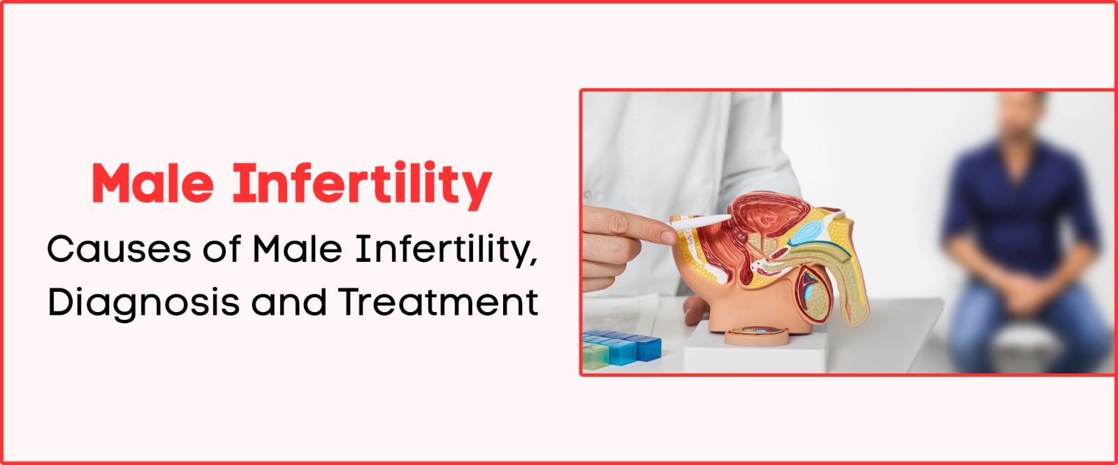 Male Infertility