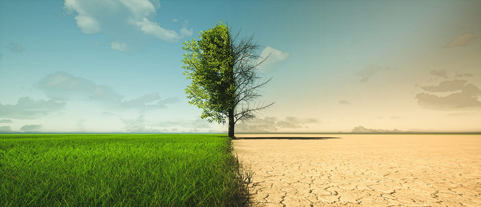 Hospitales y cambio climático