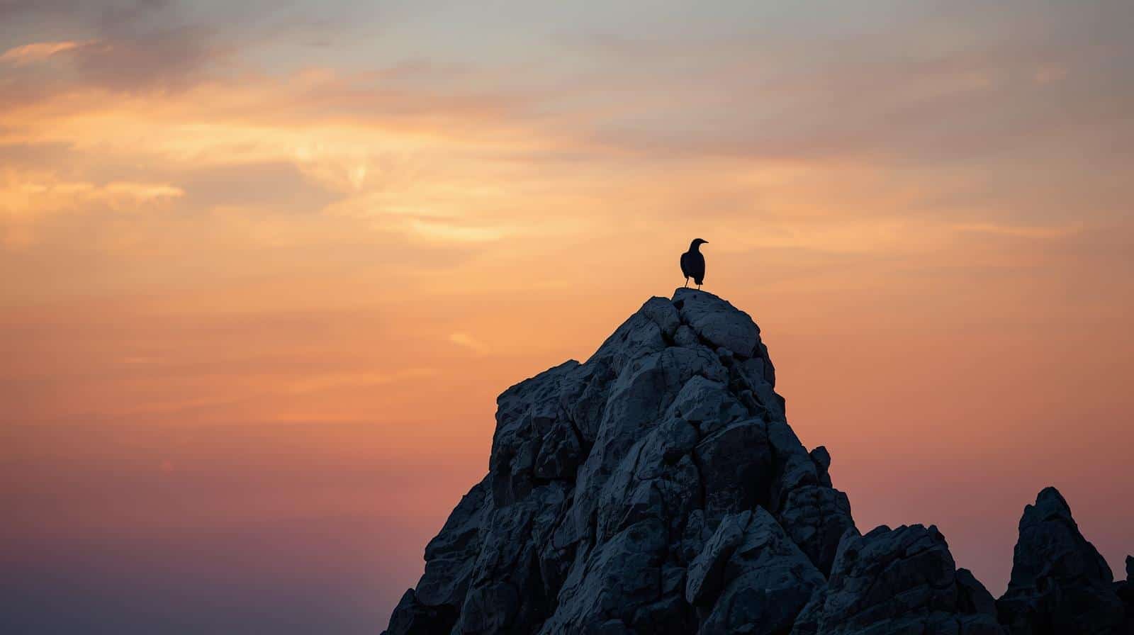 A Lonely Bird Perched on the Top