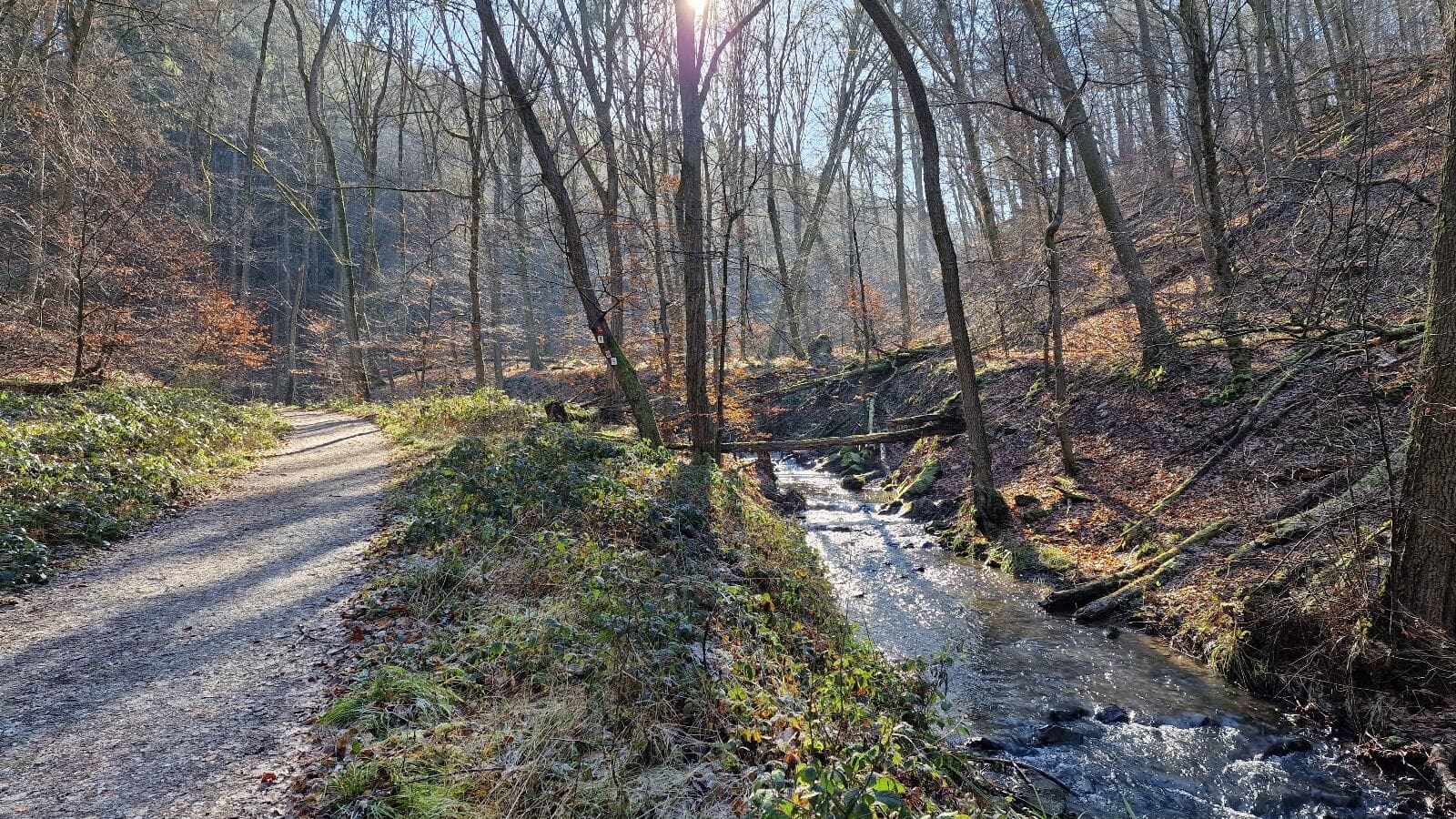 Rundweg Kreuzbachklamm, Morgenbachtal, Steckeschlääferklamm