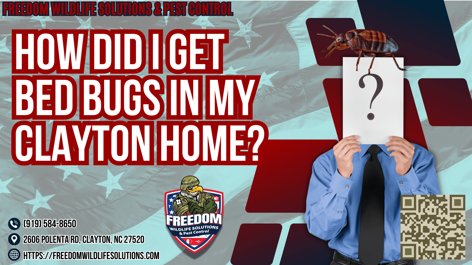 How Did I Get Bed Bugs in my Clayton home?