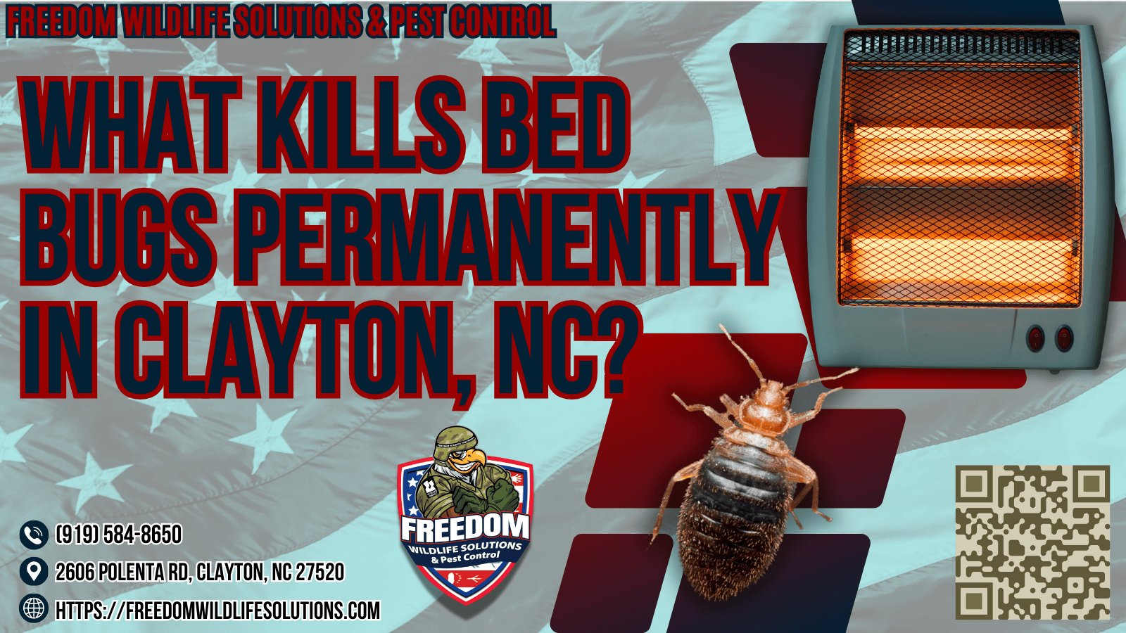 What Kills Bed Bugs Permanently in Clayton, NC.
