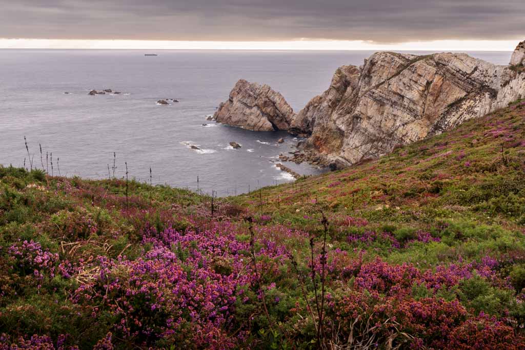 Revelado completo en Lightroom. Semana 18 (23 de agosto de 2016)