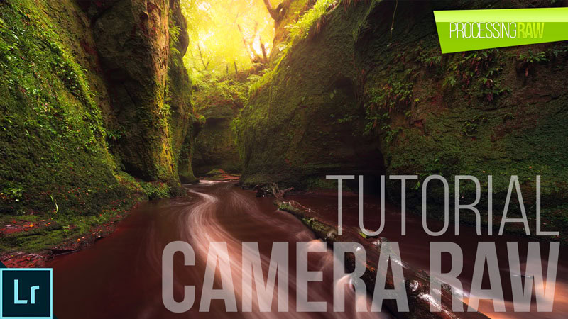 Lleva al límite tus revelados con Camera RAW