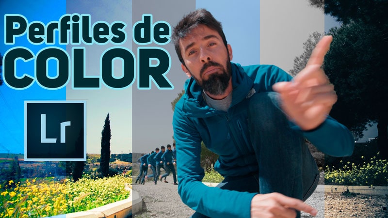 Perfiles de Color en Lightroom: ¿Cual usar?