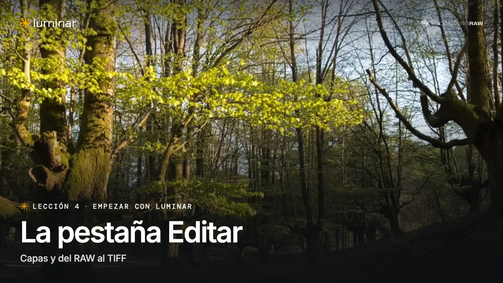 Lección 4 del curso de Luminar: La pestaña Editar: capas y del RAW al TIFF