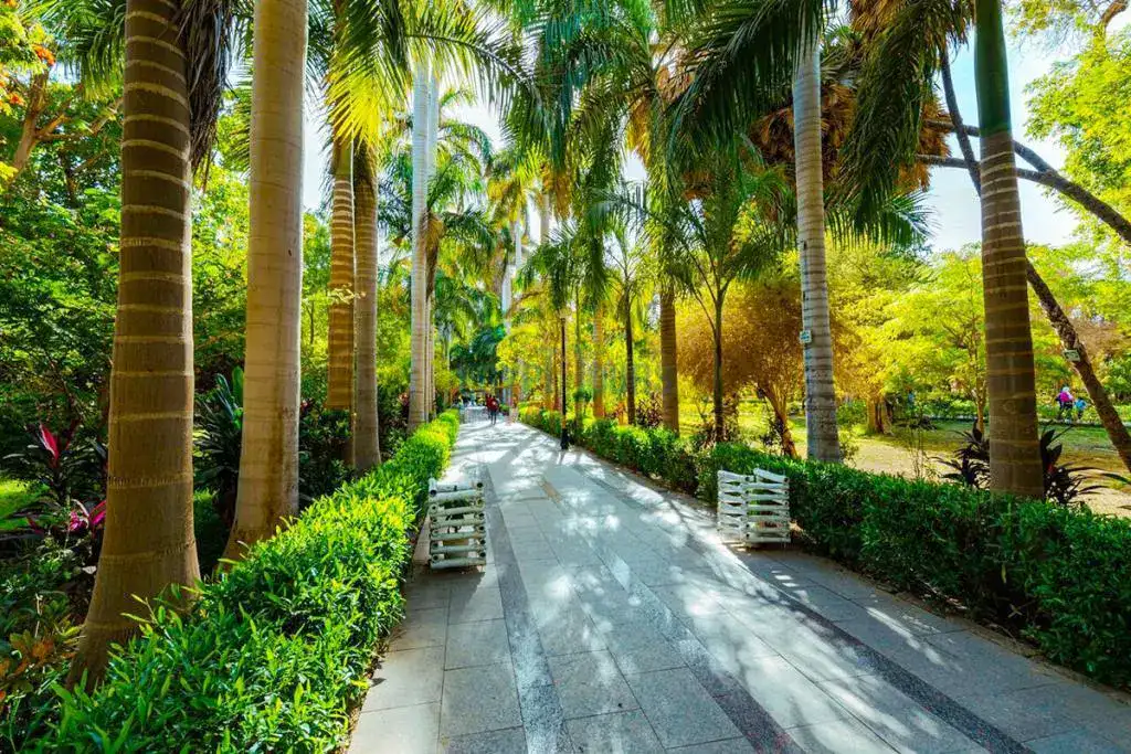 Aswan Botanical Garden on Kitchener's Island