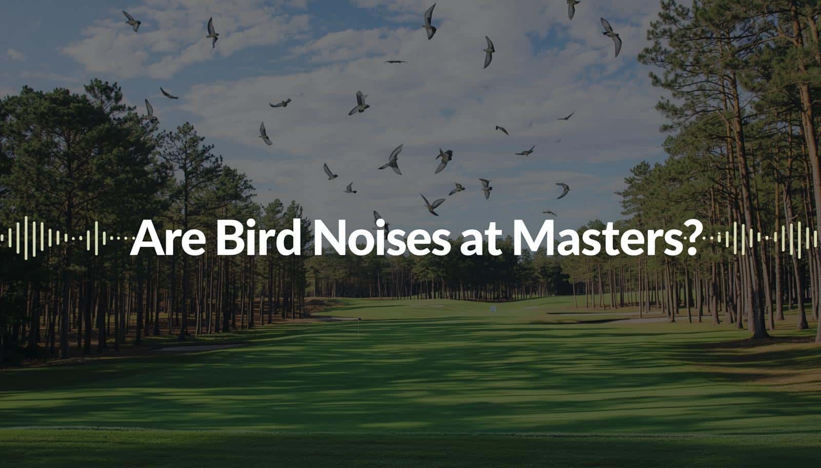 Are Bird Noises at Masters Real?