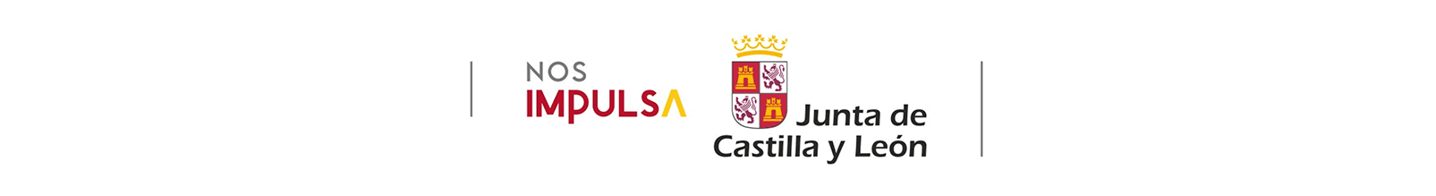 banner-junta